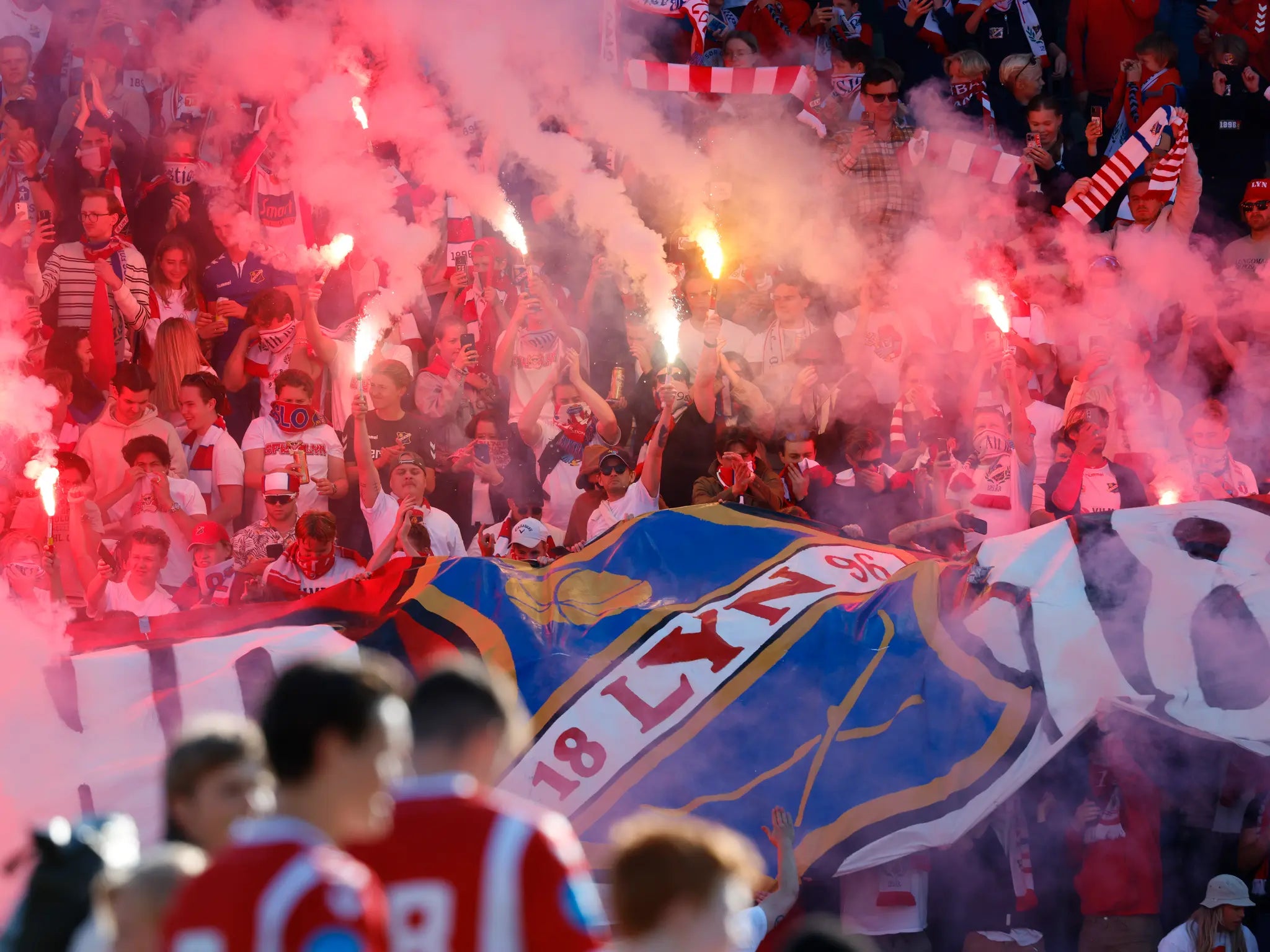 PREORDER: Plakat - Bluss